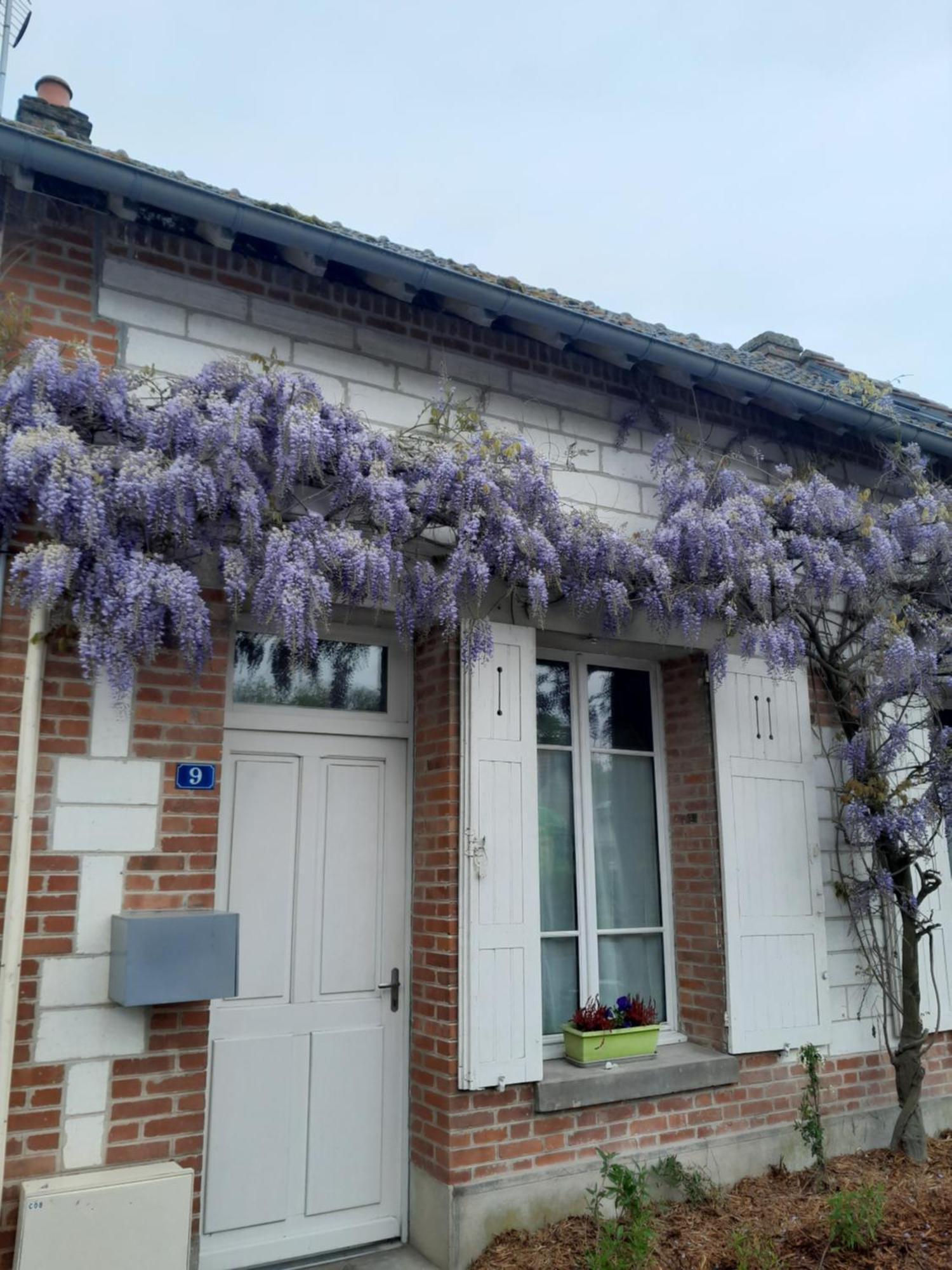 Gite, Maison A La Campagne Ardennes, Aisne,Marne Le Thour Cameră foto